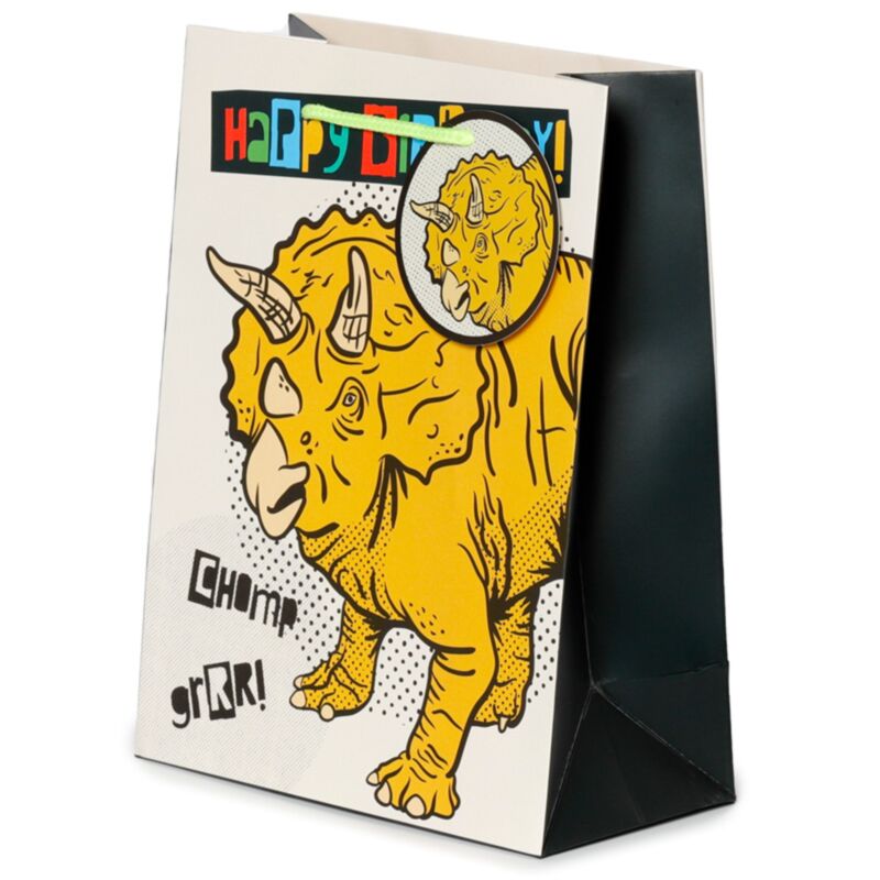 Joyeux anniversaire Dinosaures - Médium du sac cadeau