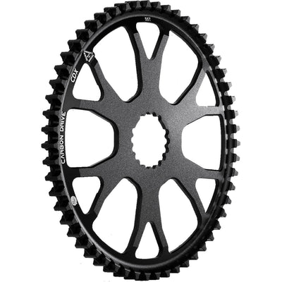 Gear CDX 55T S550 Direct Mount Rohloff