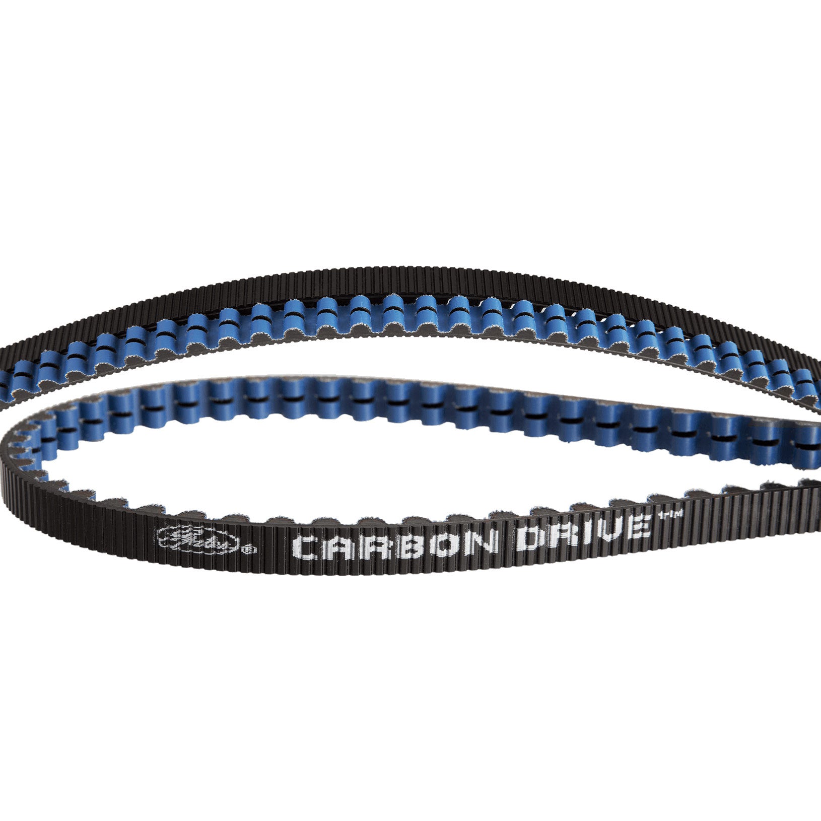 Gates CDX appelle le lecteur de carbone 113 dents bleu noir - 1243 mm