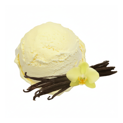 Glace Gelato Fantastico vanille bourbon (4,7 litres)