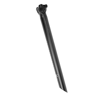Ergotec Seat Post Viper 10 ° 31,6 x 400 noir mat