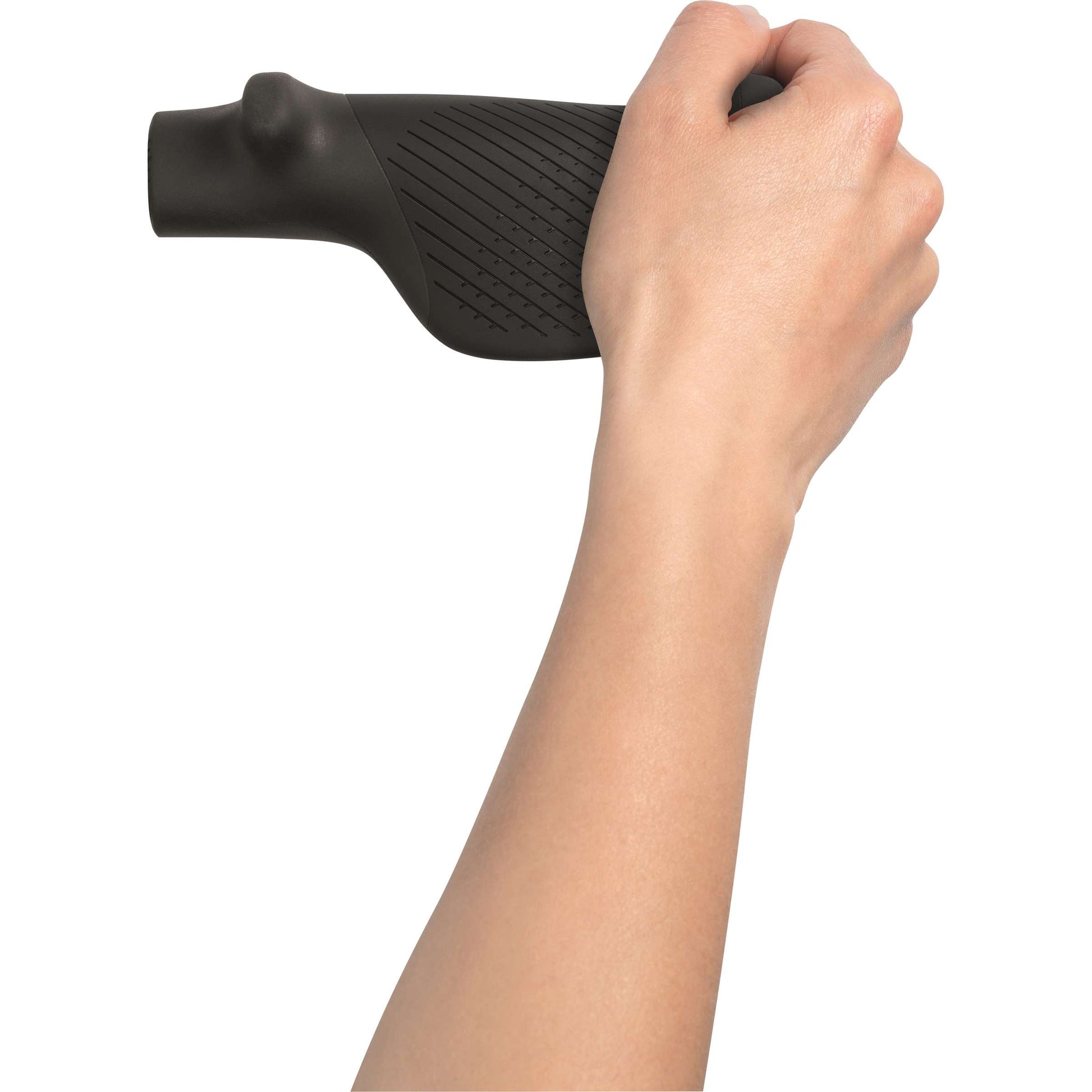 Ergon gère GT1S