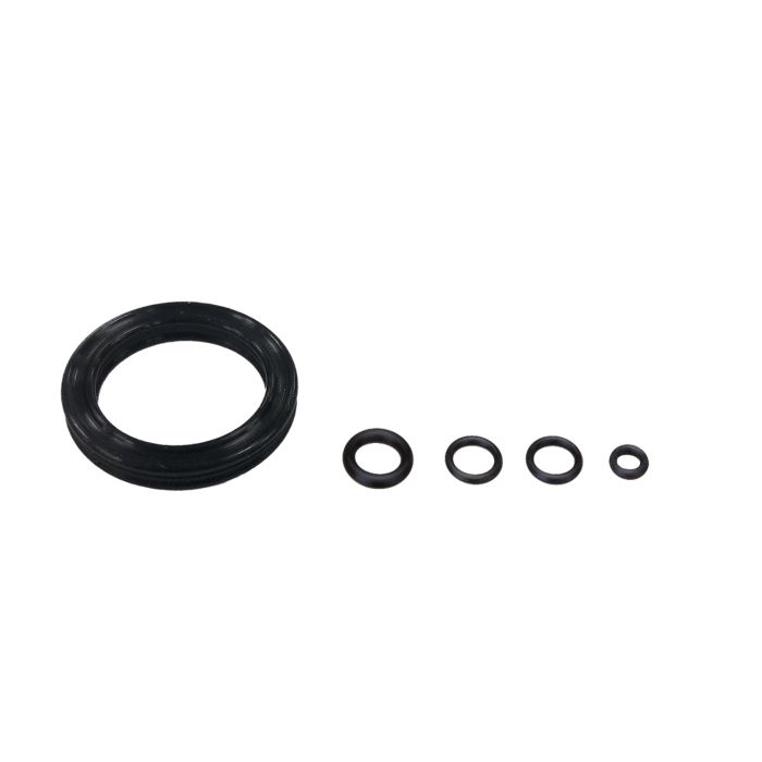 Kit de purge Jagwire Elite Dot - joints toriques de remplacement (5 pièces)