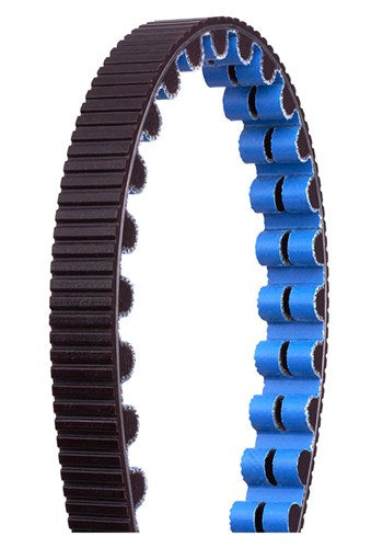Gates CDX Riem 108 TODS - 1188 mm - Bleu noir