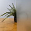 Mat de pulvérisation Kenro anti-réflexion pour surface blanche