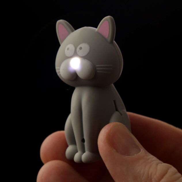 Cat Light Sound Meow Key Ring