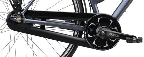 Hesling Delgado Chain Guard Plaandof Black 28 pouces