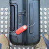 Knog Scout Travel - Pomme - Rêve de mandarine