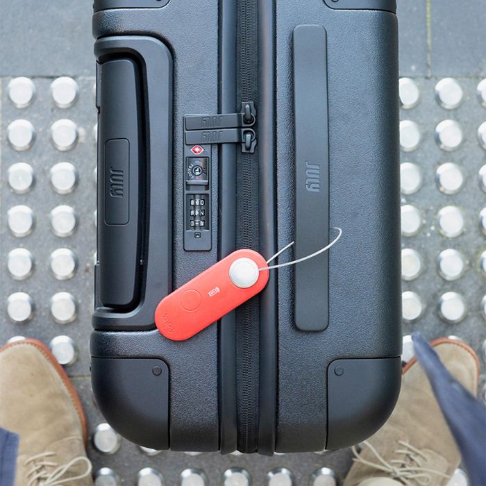 Knog Scout Travel - Pomme - Rêve de mandarine