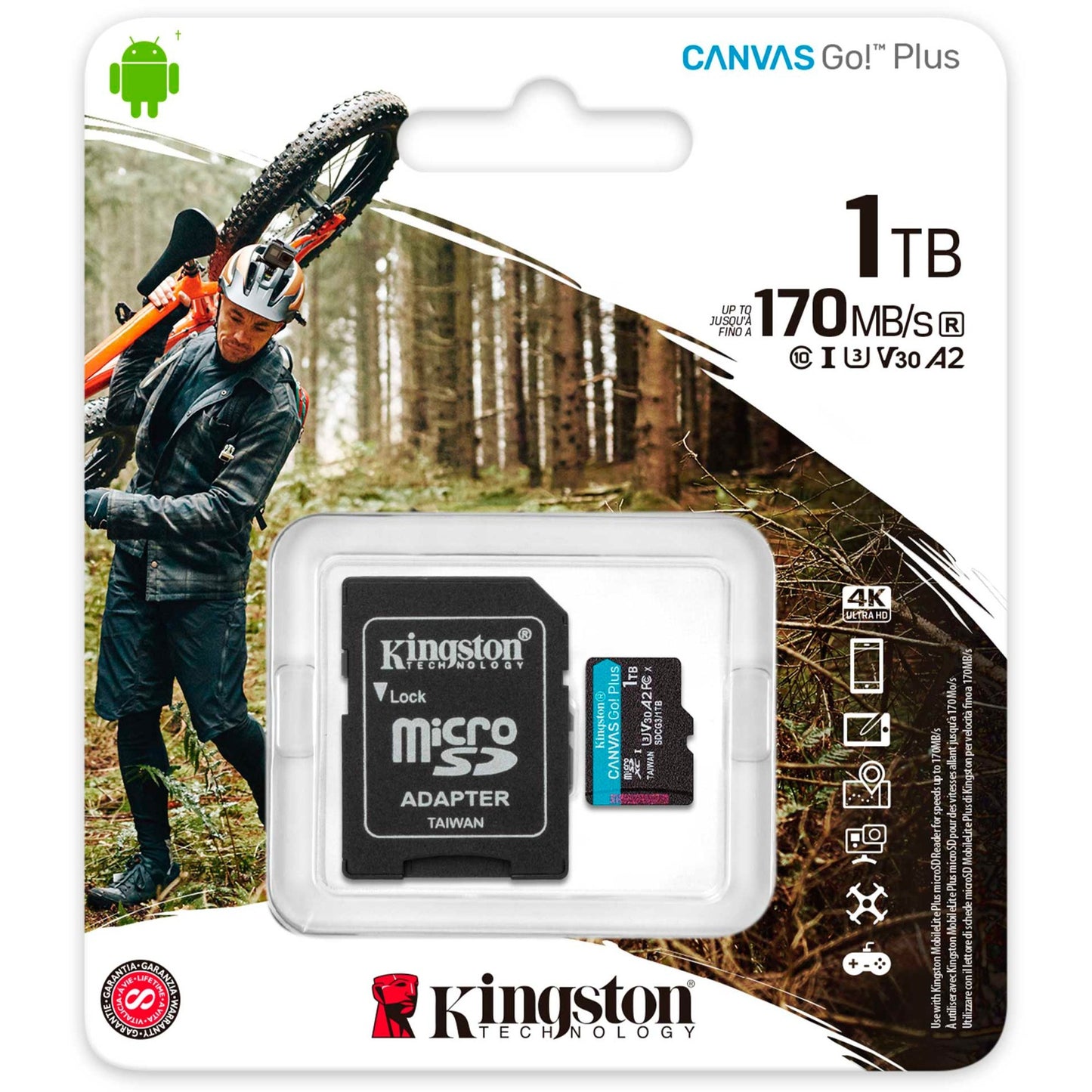 Kingston Canvas Go! Plus microsdxc 1 To