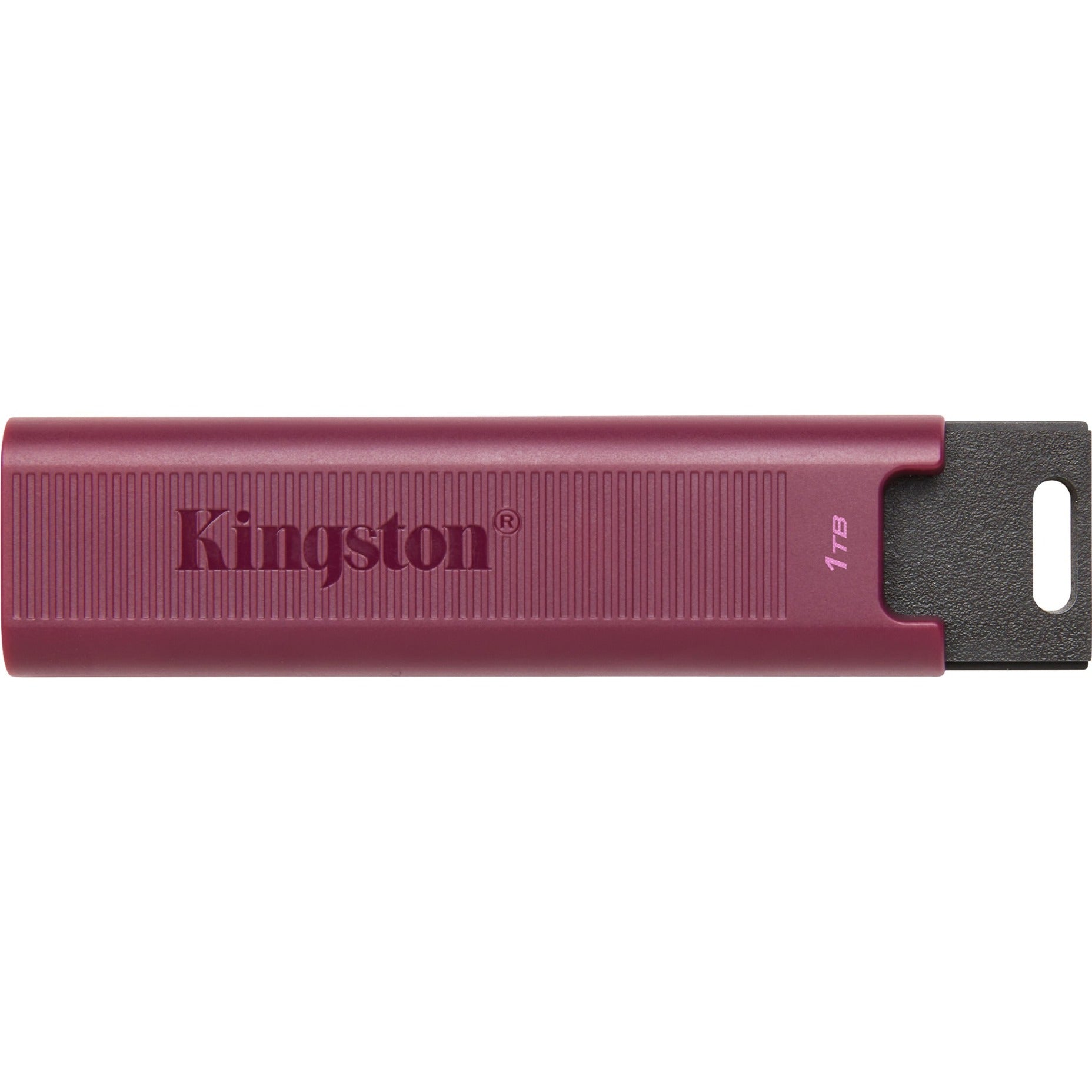 Kingston DataTraveler max 1 to