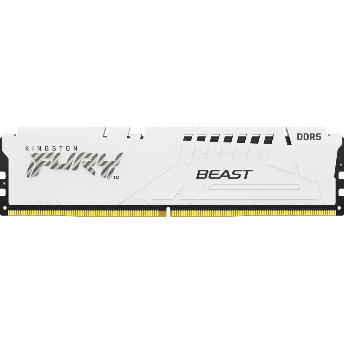 Kingston Fury 16 Go DDR5-5200