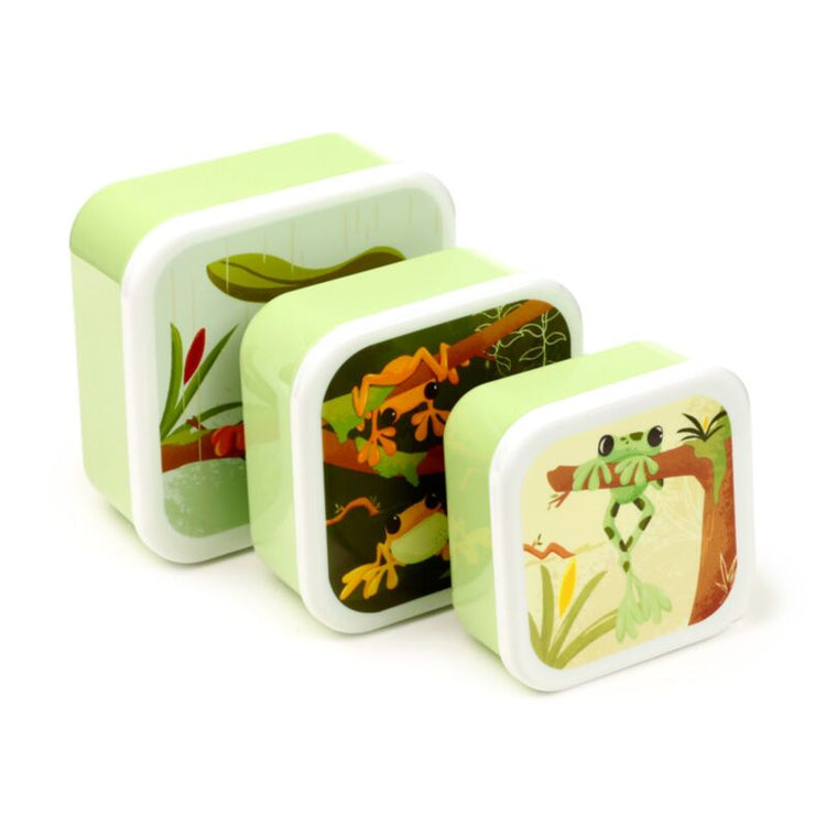 Set 3 Lunch Box M L XL Tropical tree frog