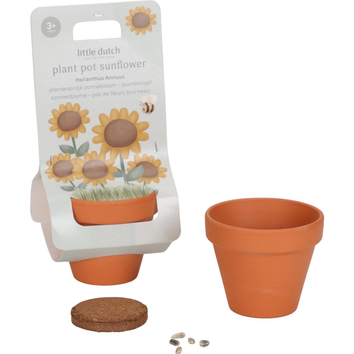 Petit pot de fleurs hollandais tournesol