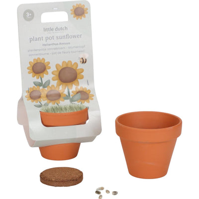 Petit pot de fleurs hollandais tournesol