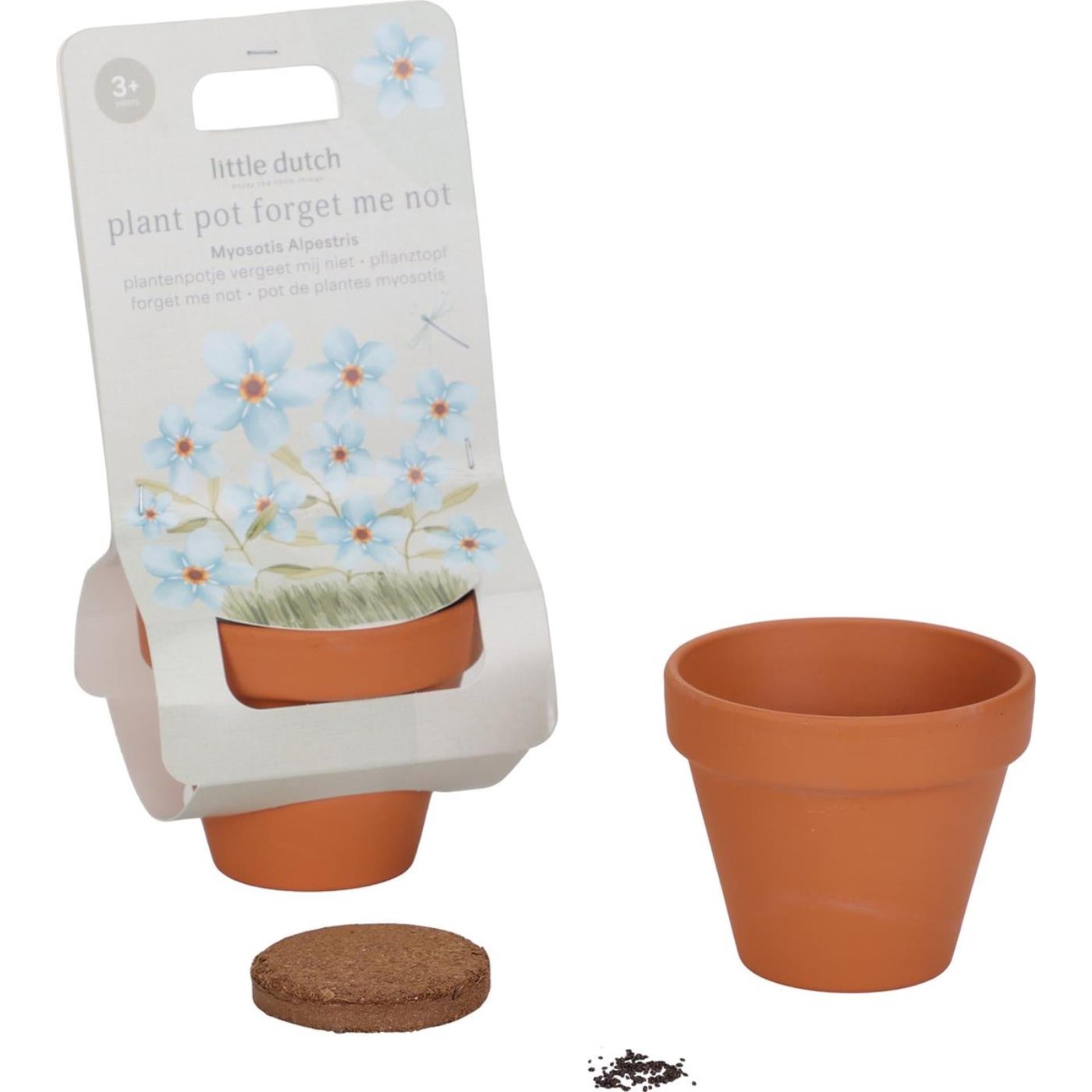 Petit pot hollandais de myosotis