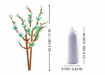 Jasmin Sluban (m38-b1101-15)