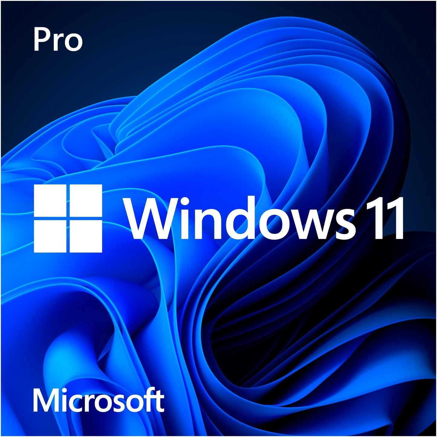 Microsoft Windows 11 (néerlandais) Systembuilder