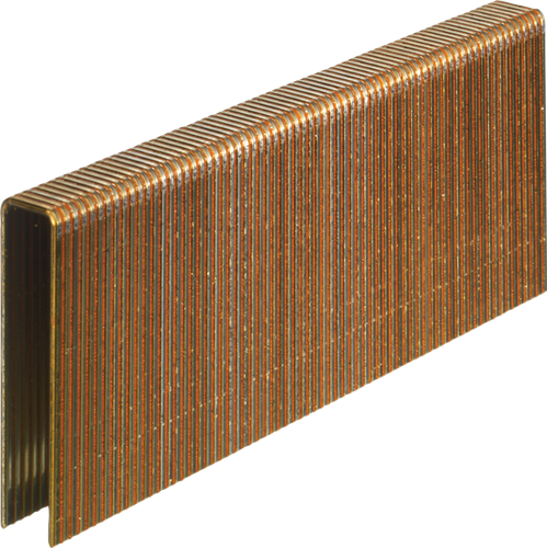 Senco n-agrafes 50mm galvanisées (10000pcs)