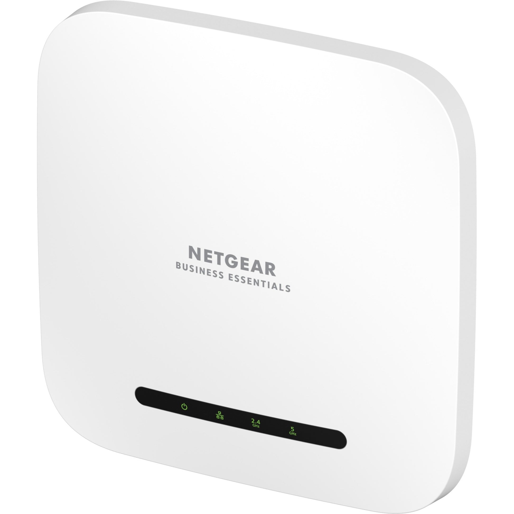 NetGear Wax214