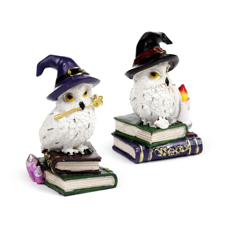 Sage Old Magical Owl on Proverbes Book