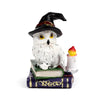 Sage Old Magical Owl on Proverbes Book