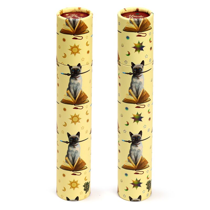 Lisa Parker Hocus Pocus kat grand boîtier de dessin 12 crayons de couleur