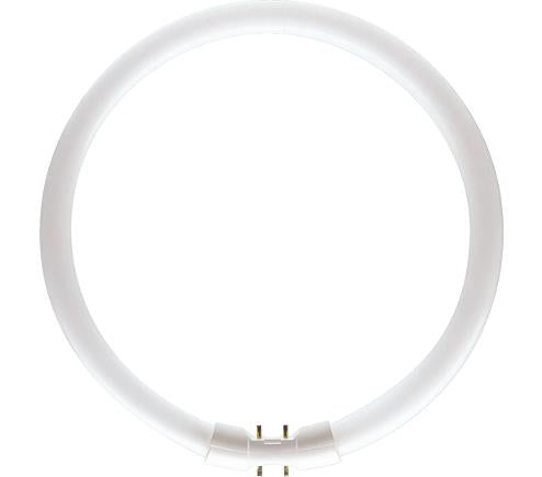 Philips TL5 Circulaire 55W 830 Master Blanc Chaud 2Gx13 | 10 pièces