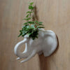 Decoration de paroi de la tête d'éléphant en céramique à l'intérieur