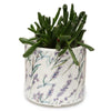 Pick of the Bunch Lavendel Velden Standing Flowerpot à l'intérieur - grand