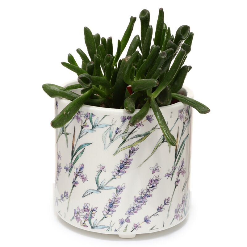 Pick of the Bunch Lavendel Velden Standing Flowerpot à l'intérieur - grand