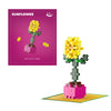 Packs de plantes Plus Plus - Plantes à fleurs Plus-Plus de tournesol (4340)