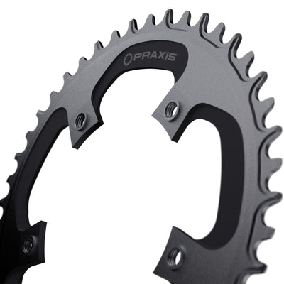 Plateau Praxis 1x e-ring 110bcd m8 42t
