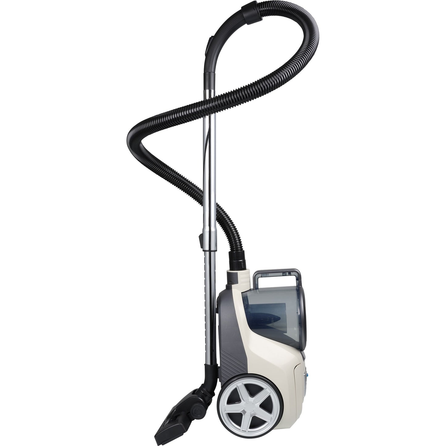 Princess Cyclone Stormless Apiumer sans espèces 335080