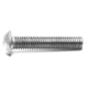Bolkop en acier inoxydable Bofix Allenbout M5x25 (25e)
