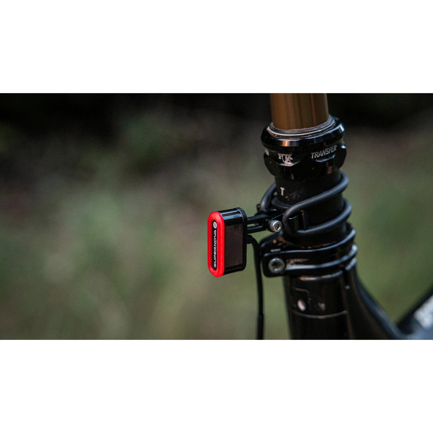 Axa supernova feux arrière tl3 mini cavalier de bagages dynamo 12v noir