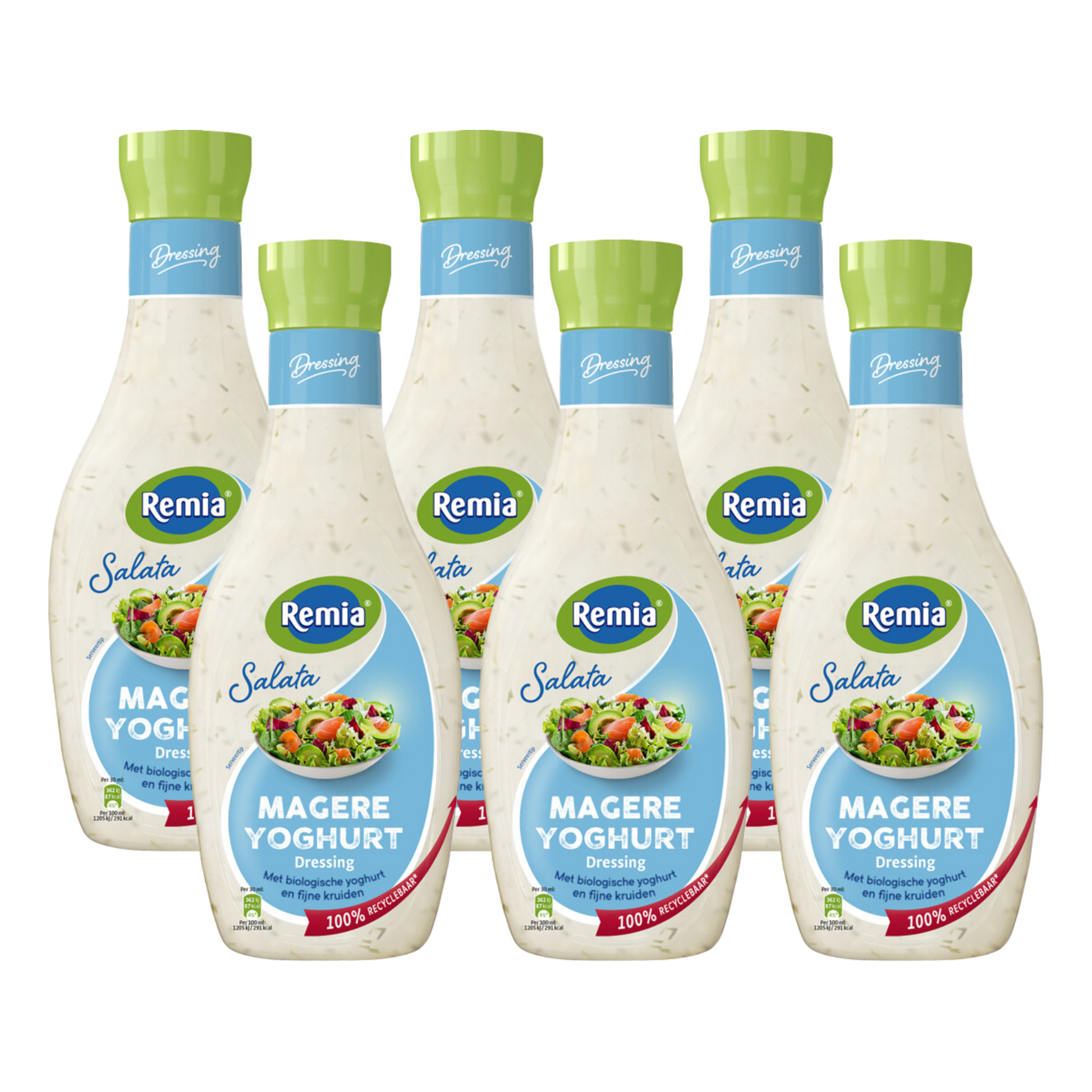 Yaourt allégé Remia salata (6x 450ml)
