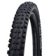 SCHWALBE TIRE 27.5 Magic Mary