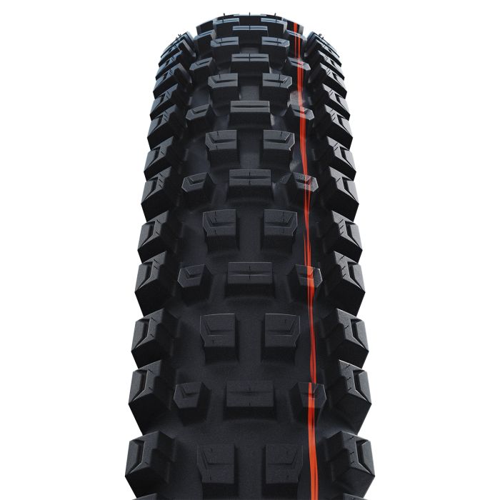 SCHWALBE TIRE ALBERT PRO EVOL.line 63-622