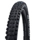 SCHWALBE TIRE 27.5 Magic Mary