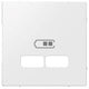 Merten plaque centrale USB 2-V blanc polaire