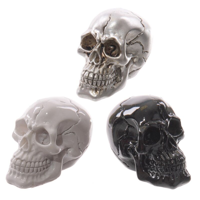 Petit accessoire de maison horrible du crâne