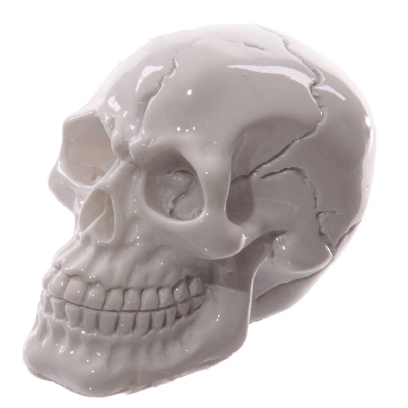 Petit accessoire de maison horrible du crâne