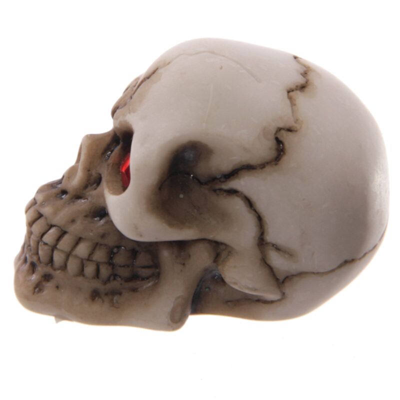 Gruesome Skull Red Eyes Accessory Home