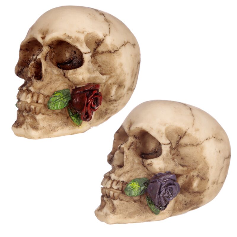 Crâne avec rose entre les dents accessoires de maison