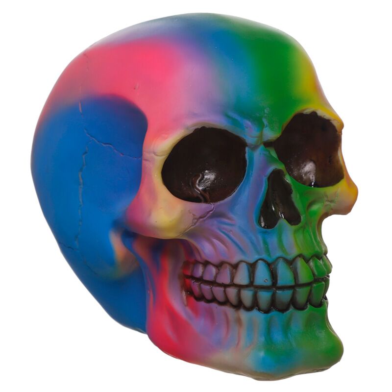 Accessoire de maison du crâne arc-en-ciel