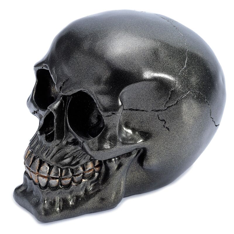 Accessoire à domicile métallique du crâne noir