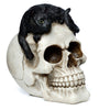 Skull with Black Cat Home Accessory