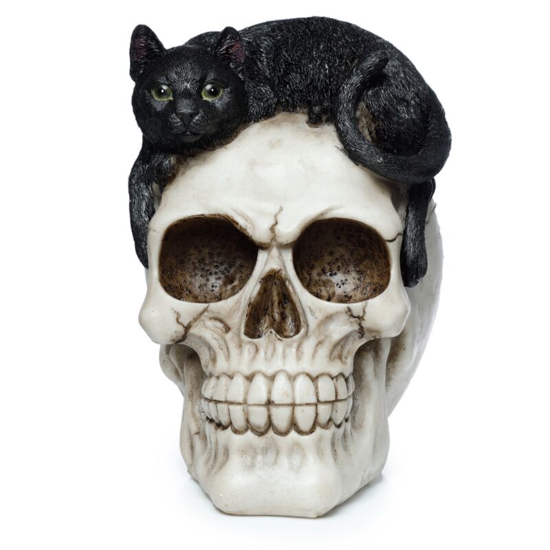 Skull with Black Cat Home Accessory