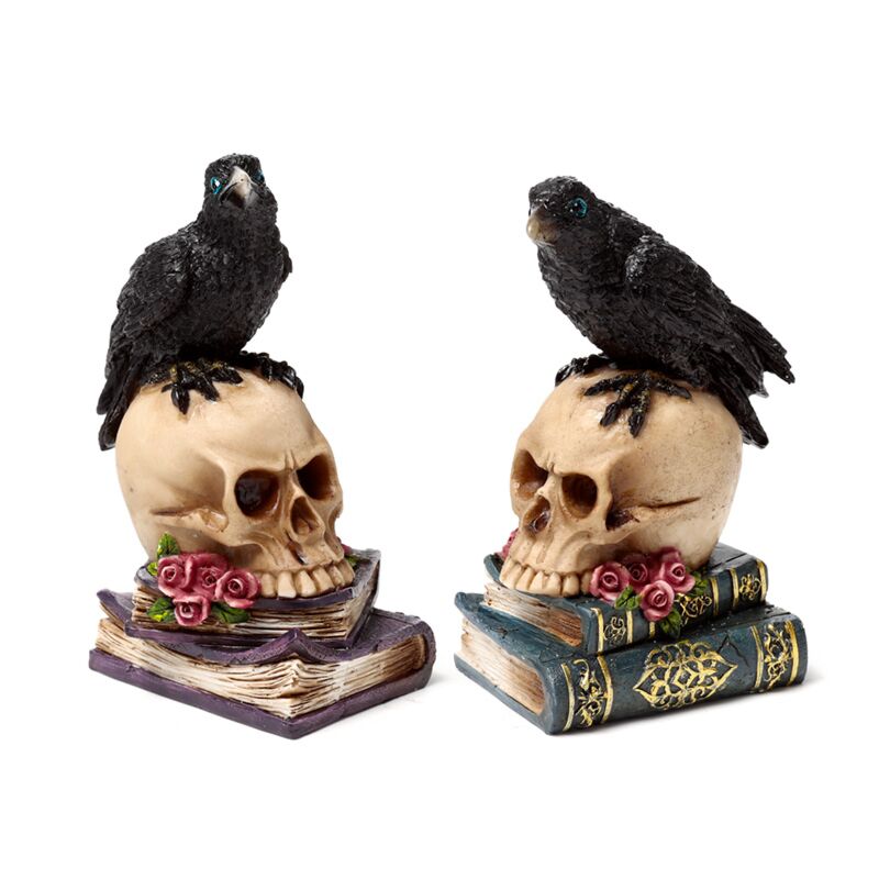 Livre Crow assis sur le crâne